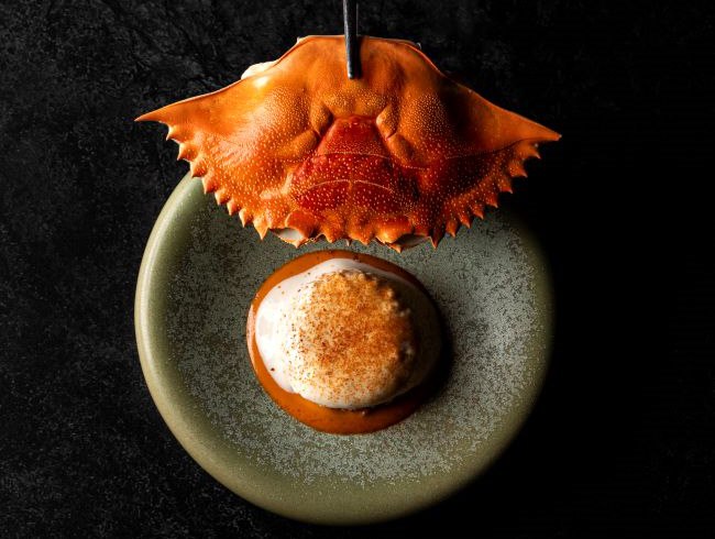 KOLI TAKES OVER HUMO